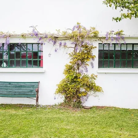 2 Bedroom With An Amazing View Lejlighed Esposende